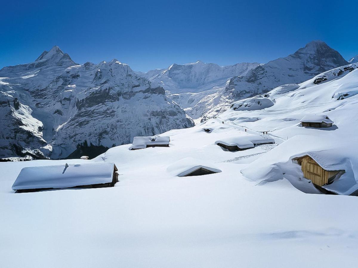 Albi By Interhome Apartment Grindelwald